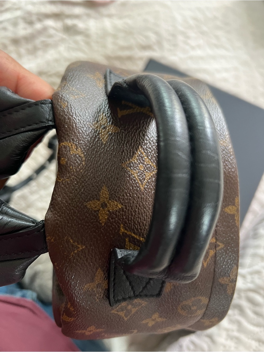 Louis Vuitton Monogram Palm Springs PM Backpack - Picture 5 of 16